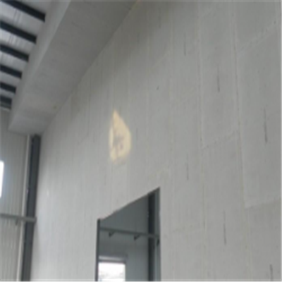 凉山宁波ALC板|EPS加气板隔墙与混凝土整浇联接的实验研讨